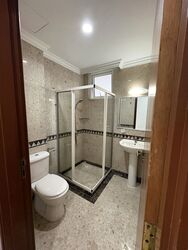The Balmoral Spring (D10), Apartment #525113411